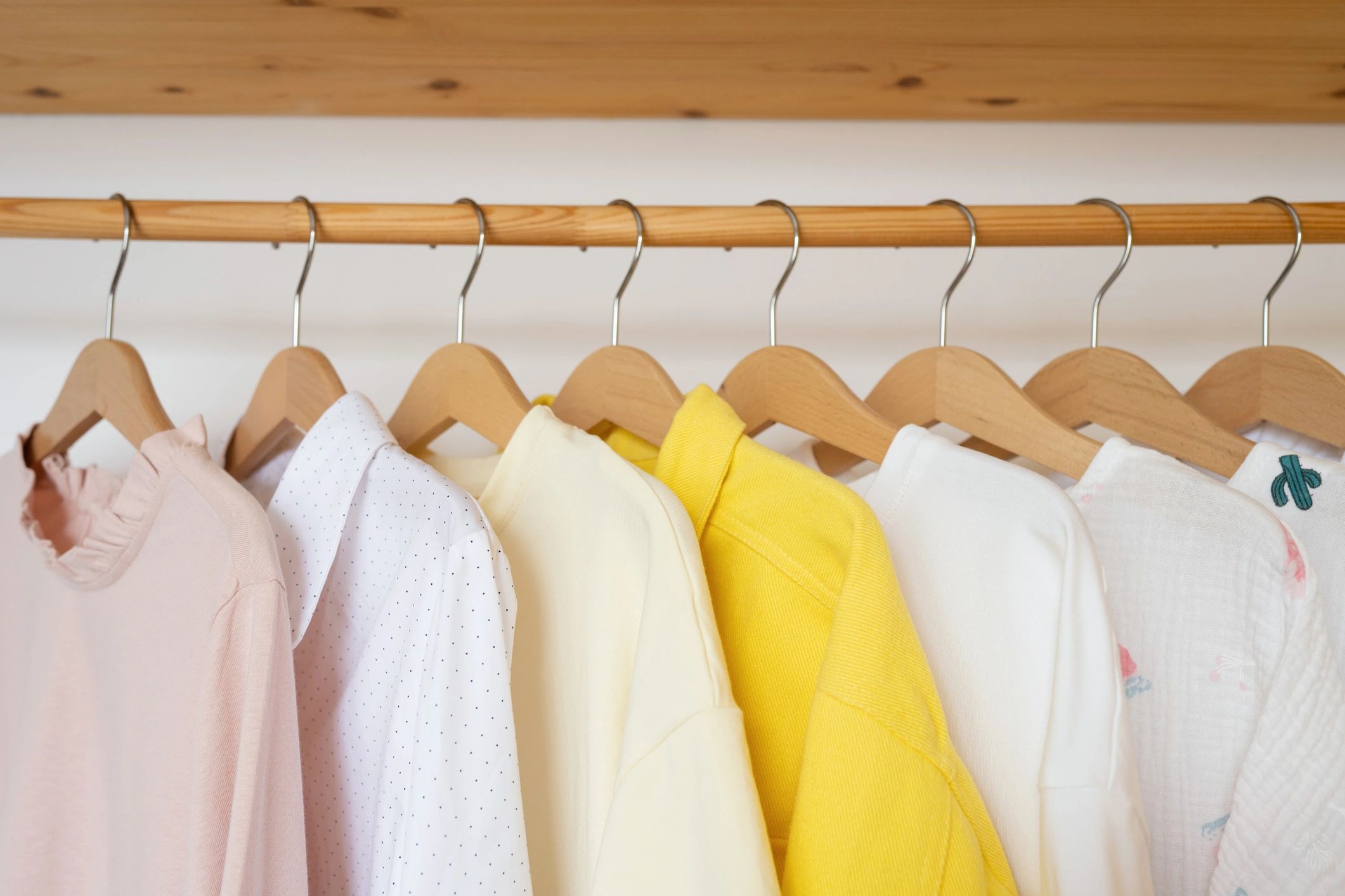 Wardrobe interior with hanging storage detail